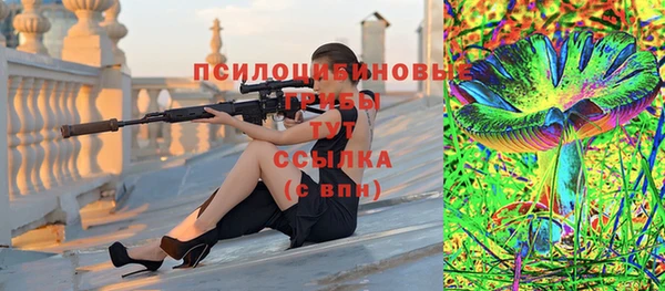 ALPHA PVP Покров