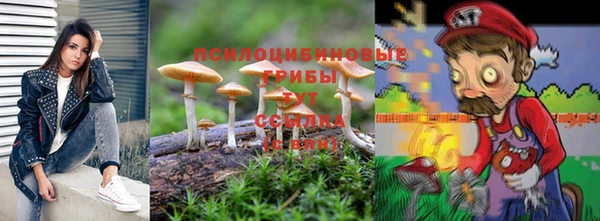 дмт Аркадак